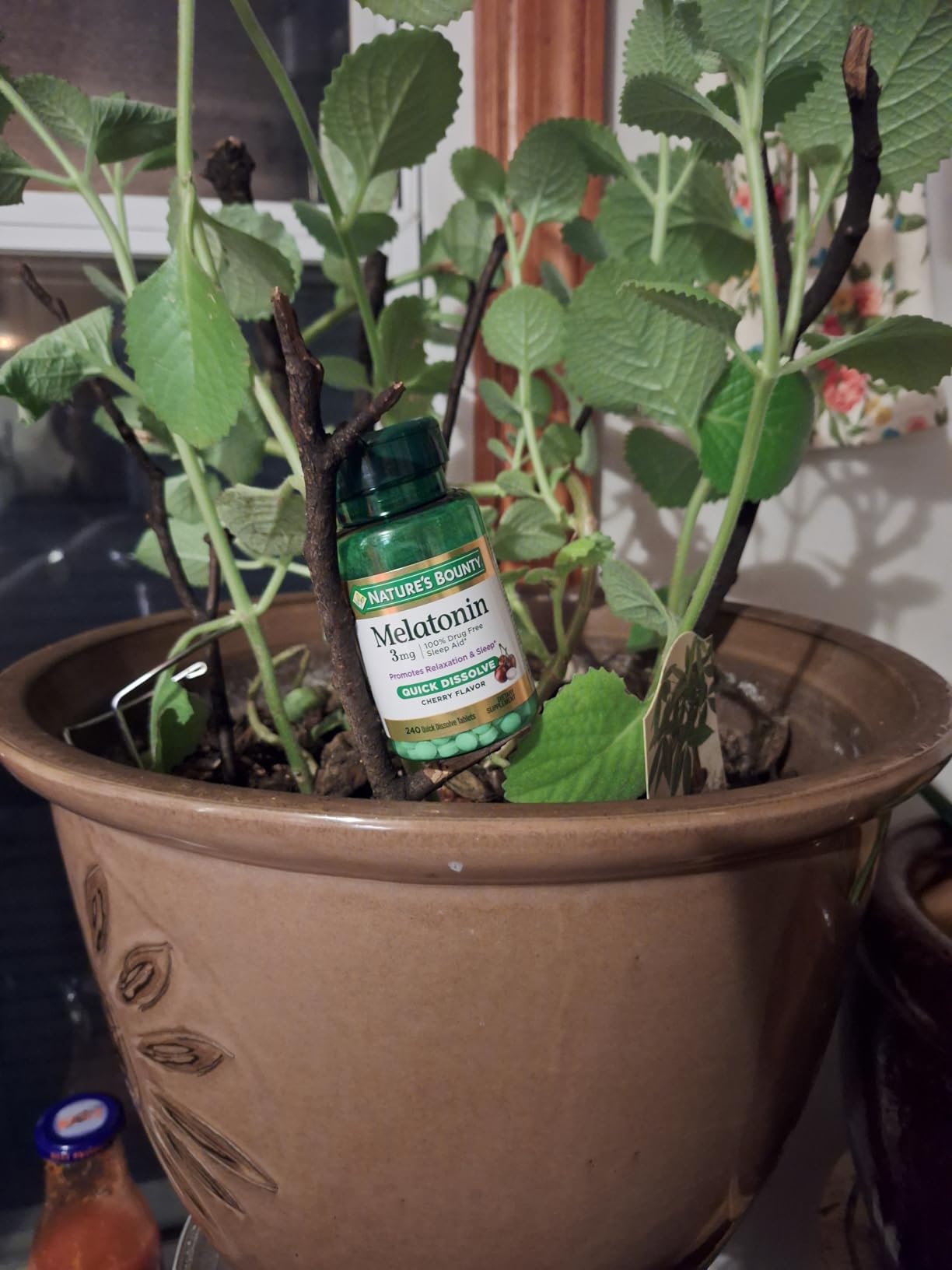 Nature's Bounty Melatonin 3mg Quick Dissolve, 240 Count customer photo 2