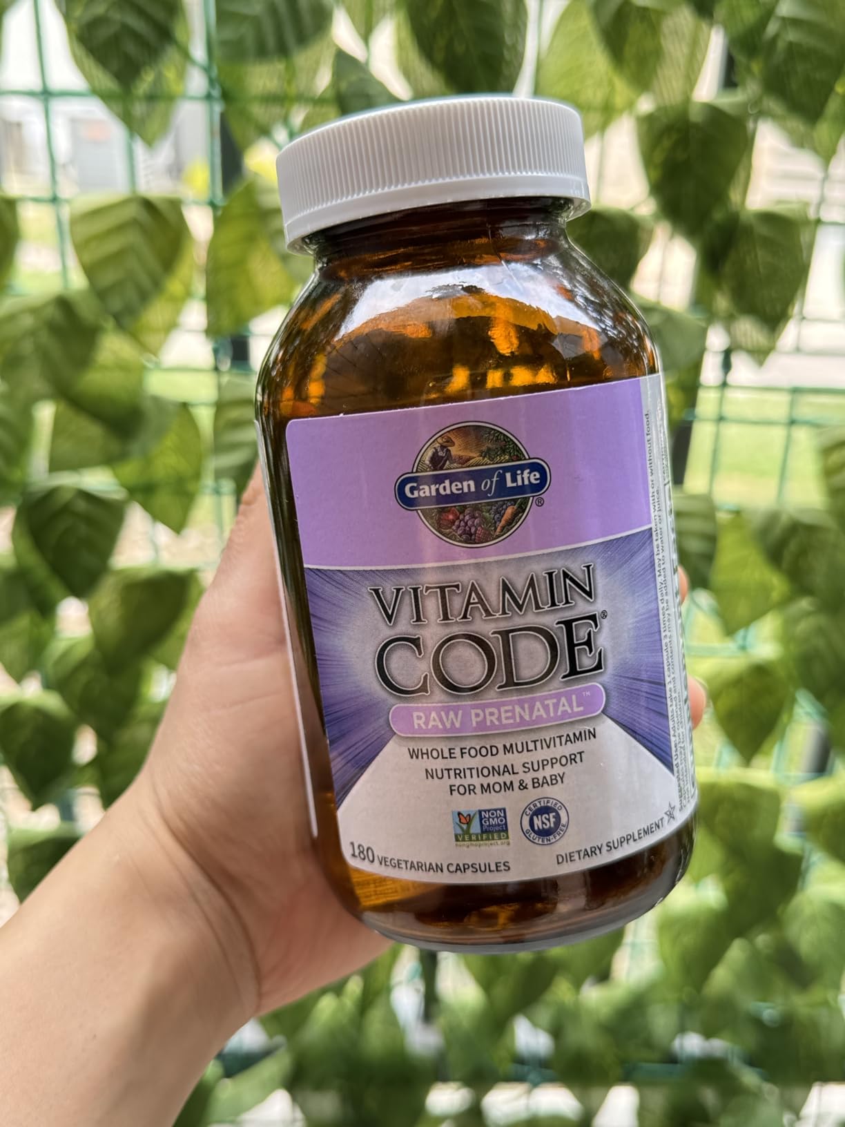 Garden of Life Vitamin Code Raw Prenatal Multivitamin for Women with Iron, Folate, Probiotics and Whole Food Nutrients - Immune and Cellular Energy Support, Non-GMO, Gluten-Free, Kosher, 60 Day Supply customer photo 1