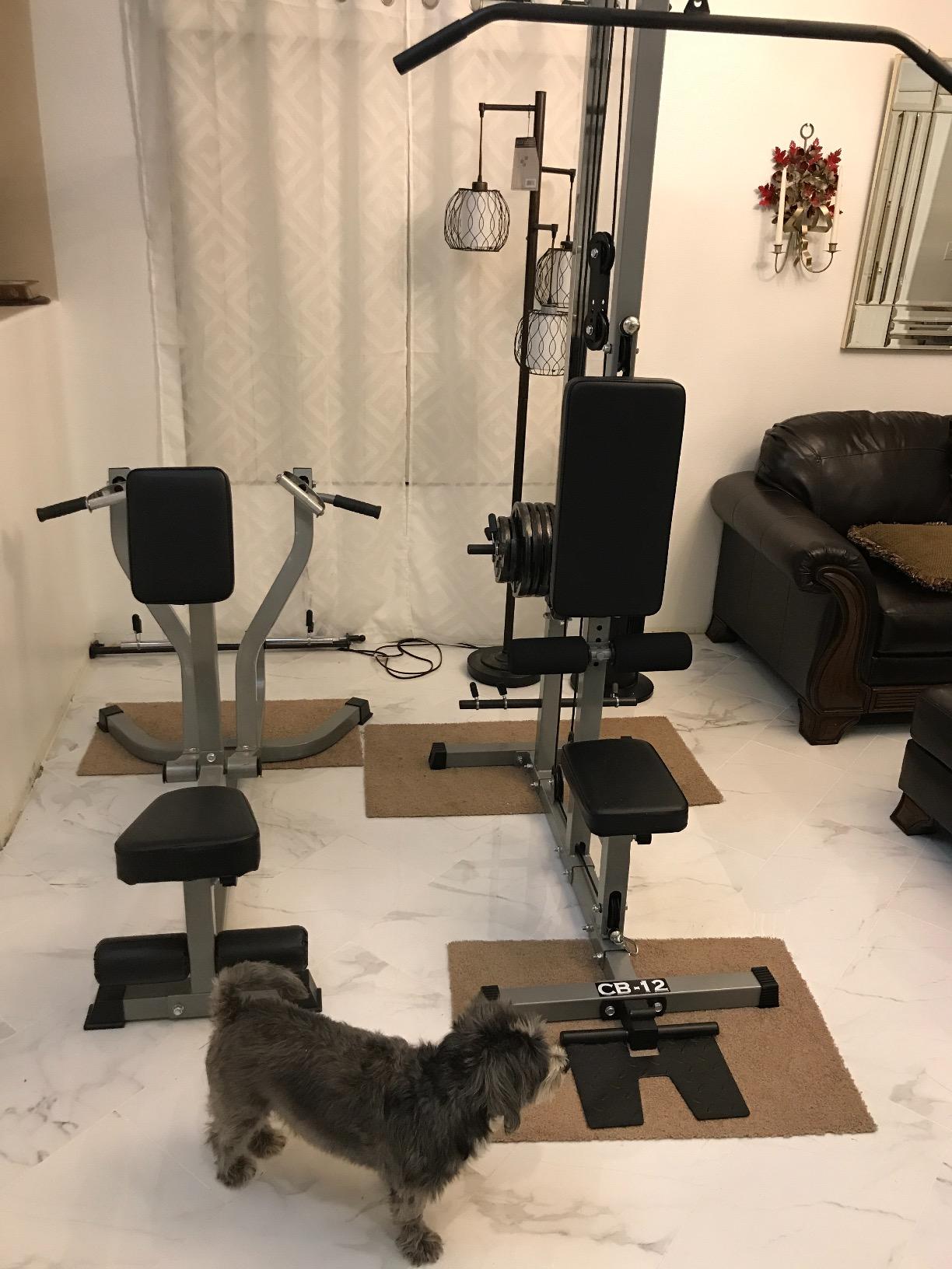 Valor Fitness Seated Row Machine – Plate Loaded with Converging Arms & Multi-Grip Handles, 400 lb Capacity, 2