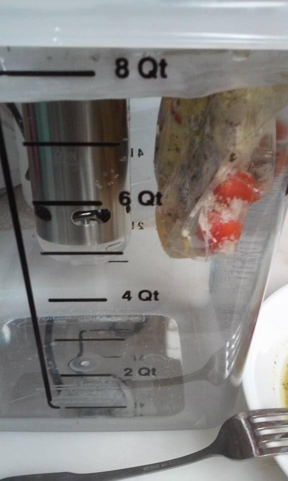 Anova Culinary Sous Vide Precision Cooker | Bluetooth | 800W (DISCONTINUED) customer photo 2