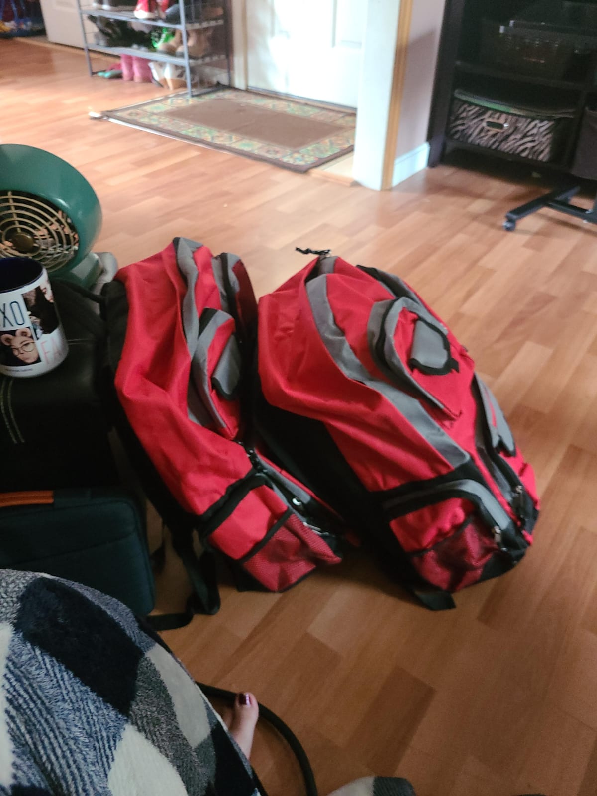 Family Emergency Kit | All-in-one Survival Kit Backpack for Earthquake, Flood, Disaster Relief, Civil Unrest & Outdoor - Survival Bag & Emergency Preparedness Kit for Families customer photo 1