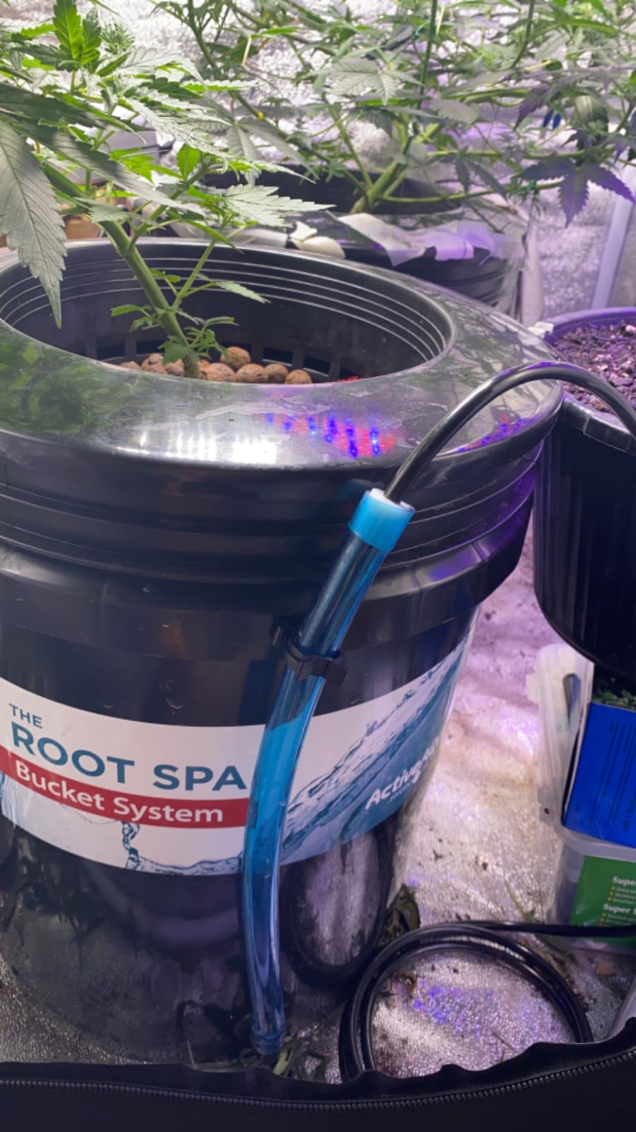 Hydrofarm RS5GALSYS Root Spa Deep Water Culture Bucket System, 5 Gallon, black customer photo 2