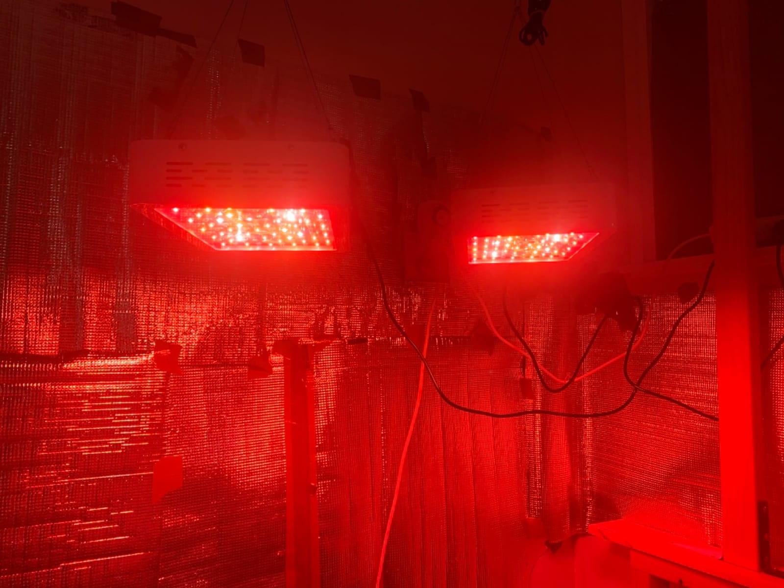 KingLED KP1000 Grow Light for Indoor Plants, Fits 2x2, 2x3 & 2x4 ft Tents customer photo 2