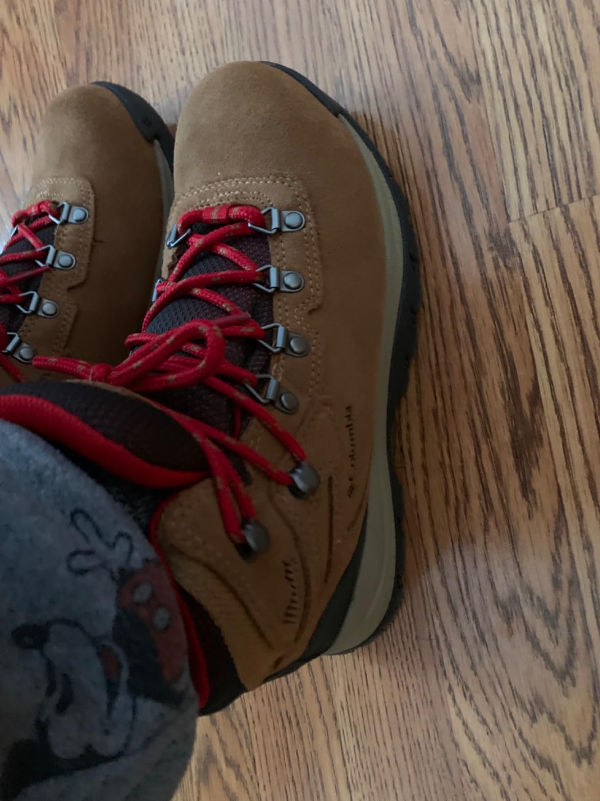 Columbia Women's Discontinued Newton Ridge Plus Waterproof Amped Hiking Boot customer photo 1