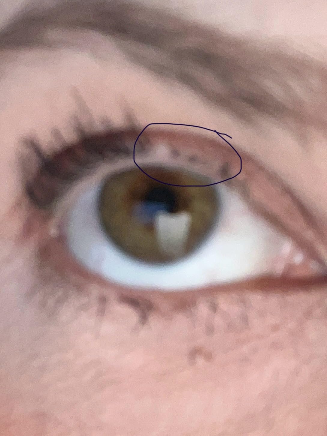 Organic Castor Oil Lash Serum for Eyelash Growth Serum and Eyebrow Growth customer photo 2