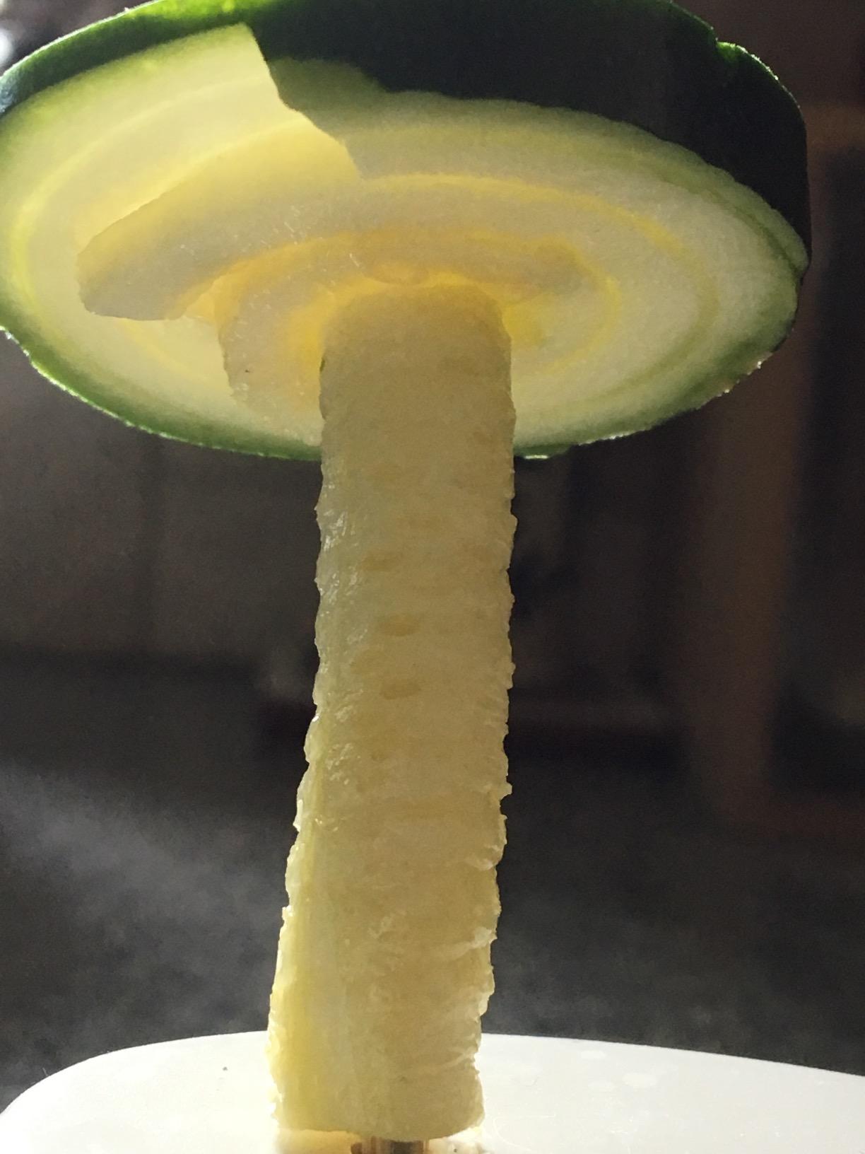 Joseph Joseph Spiro Hand Held Vegetable Slicer Spiralizer, Spaghetti Zoodle Zucchini Noodle Food Maker, Dishwasher safe - Green customer photo 2