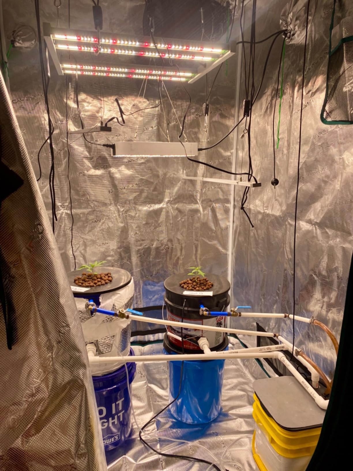 MARS HYDRO 4x2x6 Grow Tent, 48