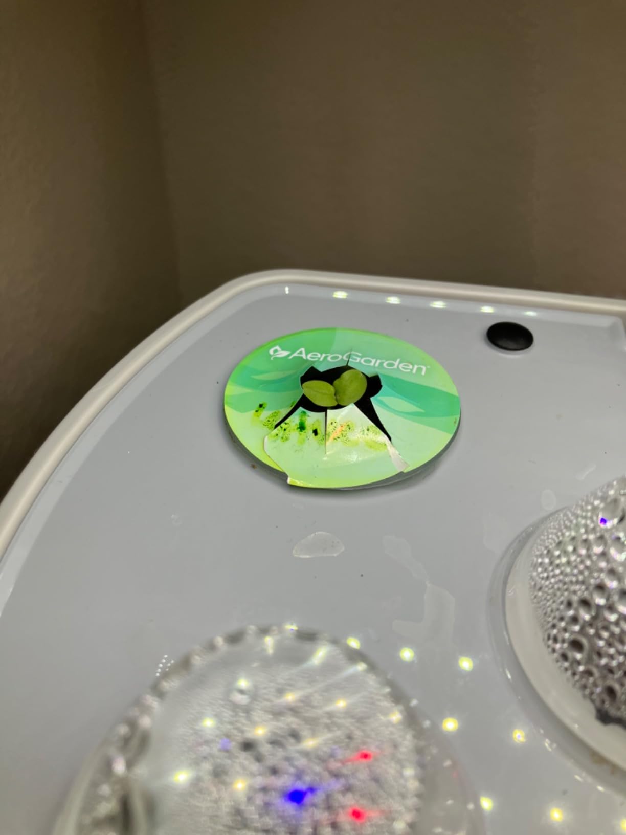 AeroGarden Harvest Elite, Stainless Steel customer photo 1