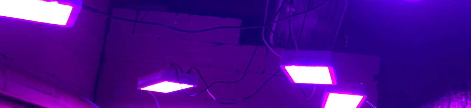 KOSCHEAL KS1200 130W LED Grow Light, 2.8 µmol/J Full Spectrum customer photo 1