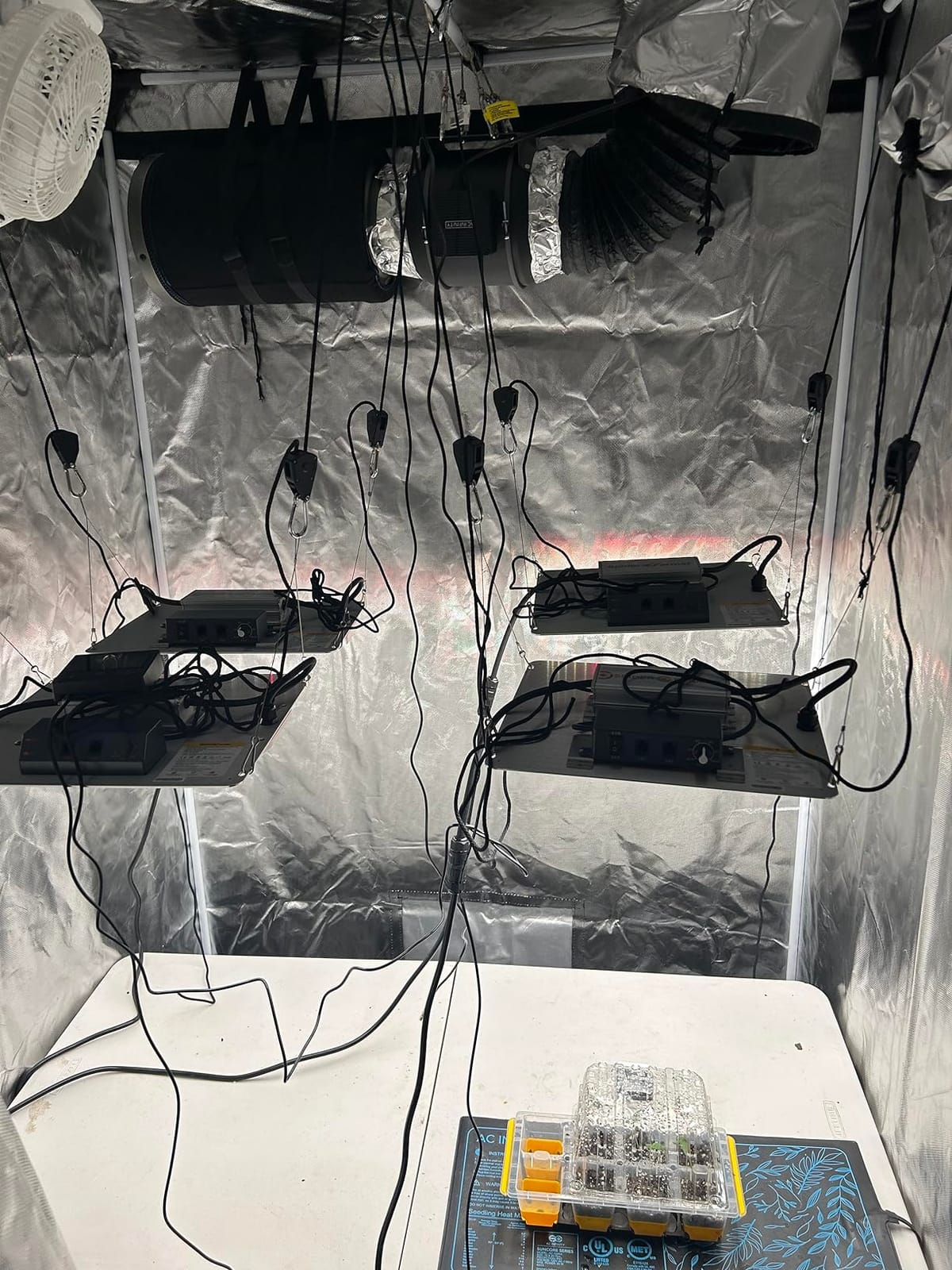 Spider Farmer SF2000 LED Grow Lights for Indoor Plants in 2x4 Grow Tent customer photo 1