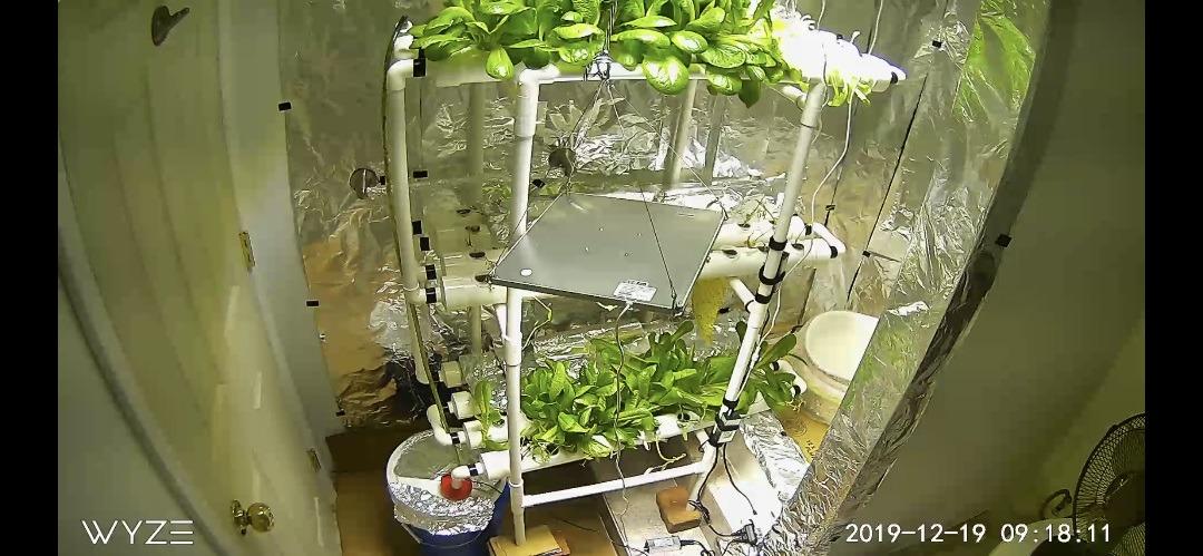 Hydroponic NFT 36 Holes Growing System with Special Fertilizer Timing Cycle, PVC Pipe Garden Plant Kit customer photo 1