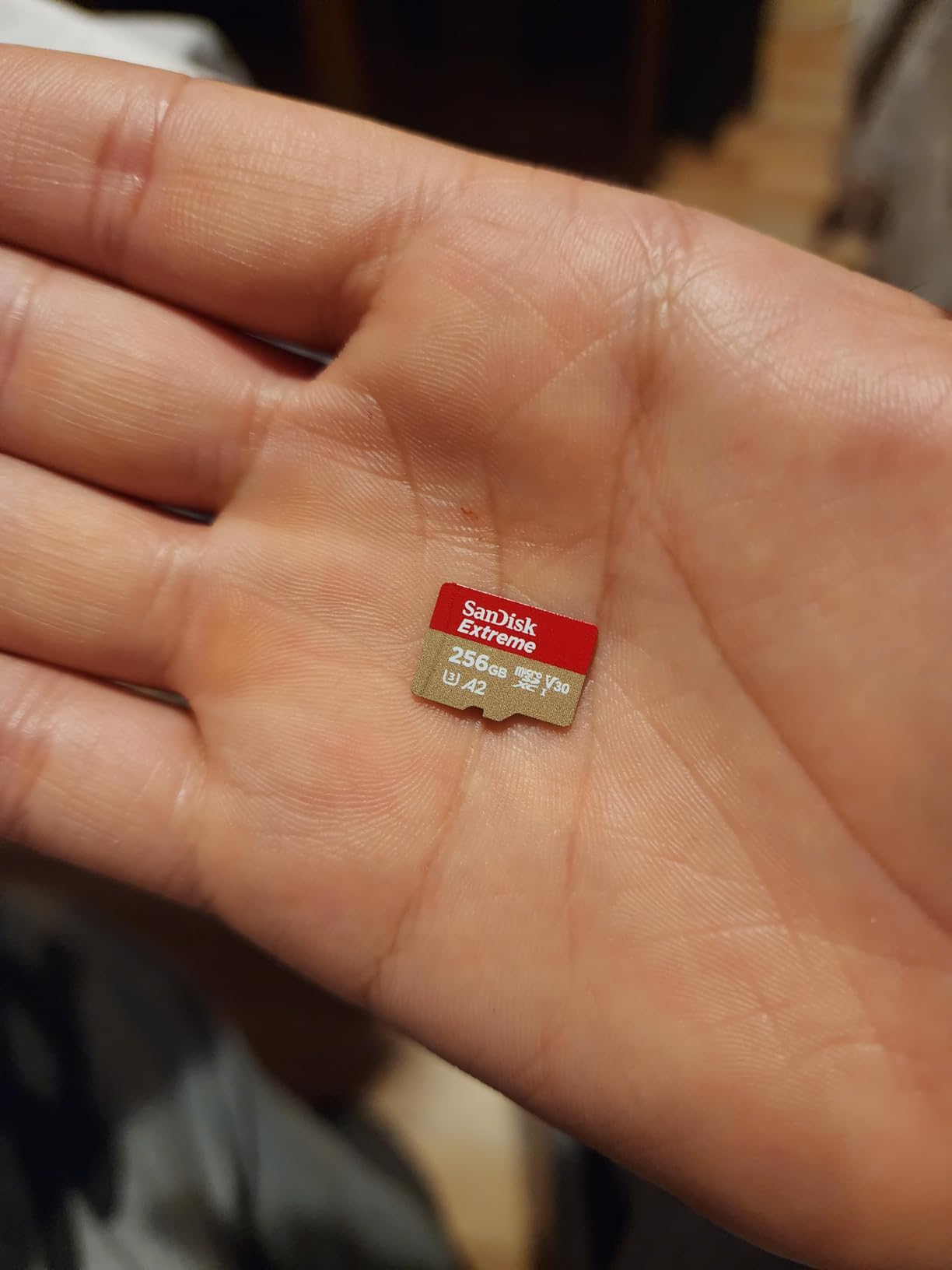 SanDisk 256GB Extreme MicroSDXC UHS-I Memory Card - C10, U3, V30, 4K, A2, Micro SD - SDSQXA1-256G-GN6MN customer photo 2