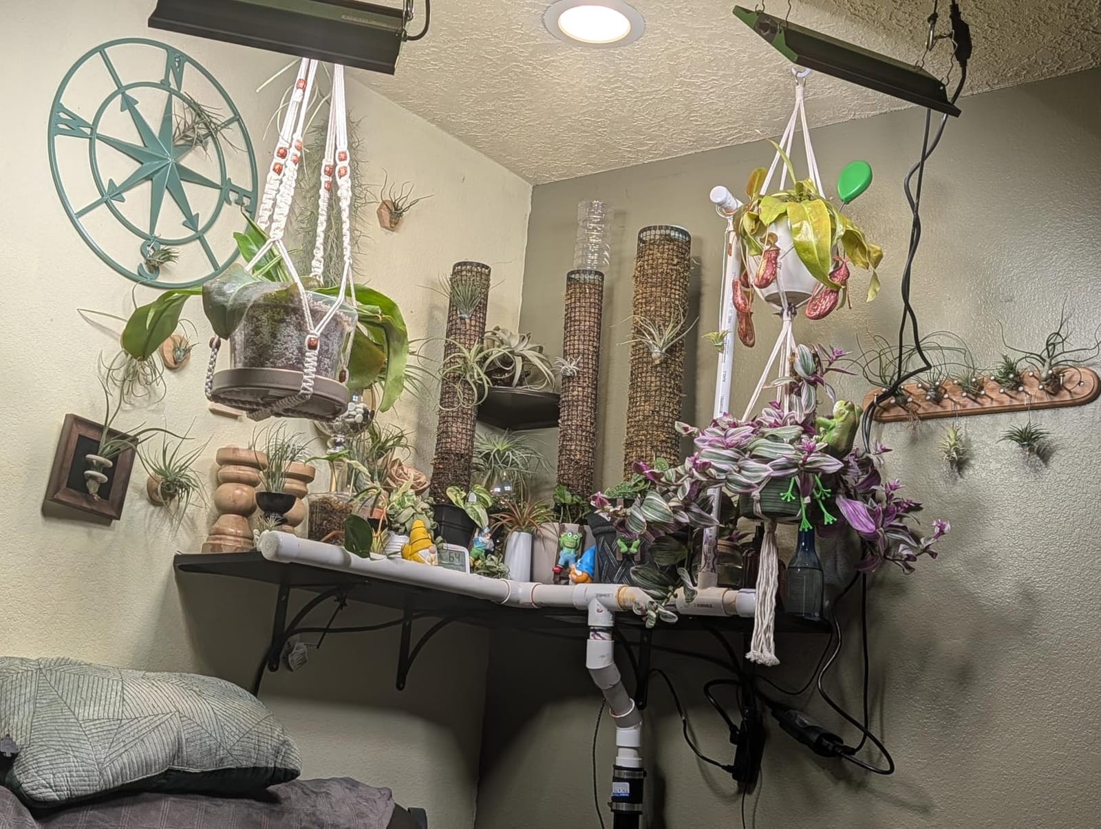 250 Watt Plant Lights for Indoor Growing, Full Spectrum LED Grow Lights customer photo 1