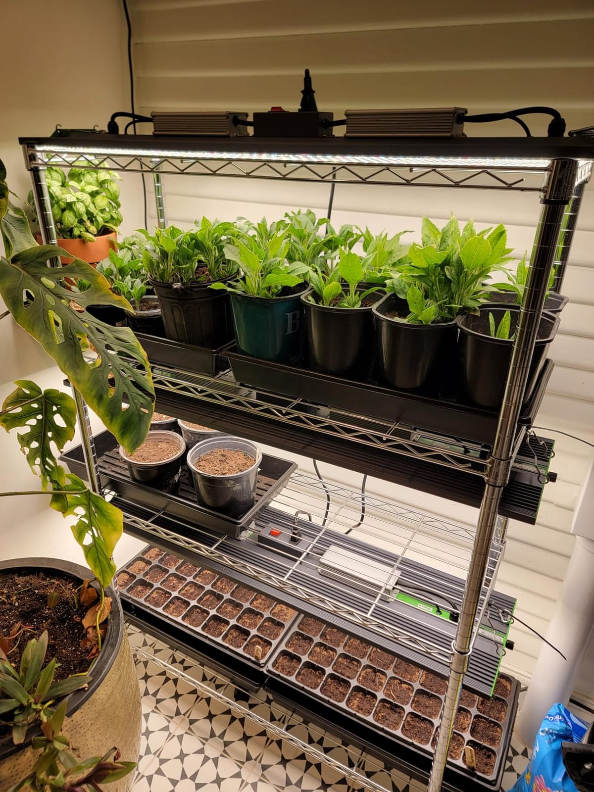 250 Watt Plant Lights for Indoor Growing, Full Spectrum LED Grow Lights customer photo 2