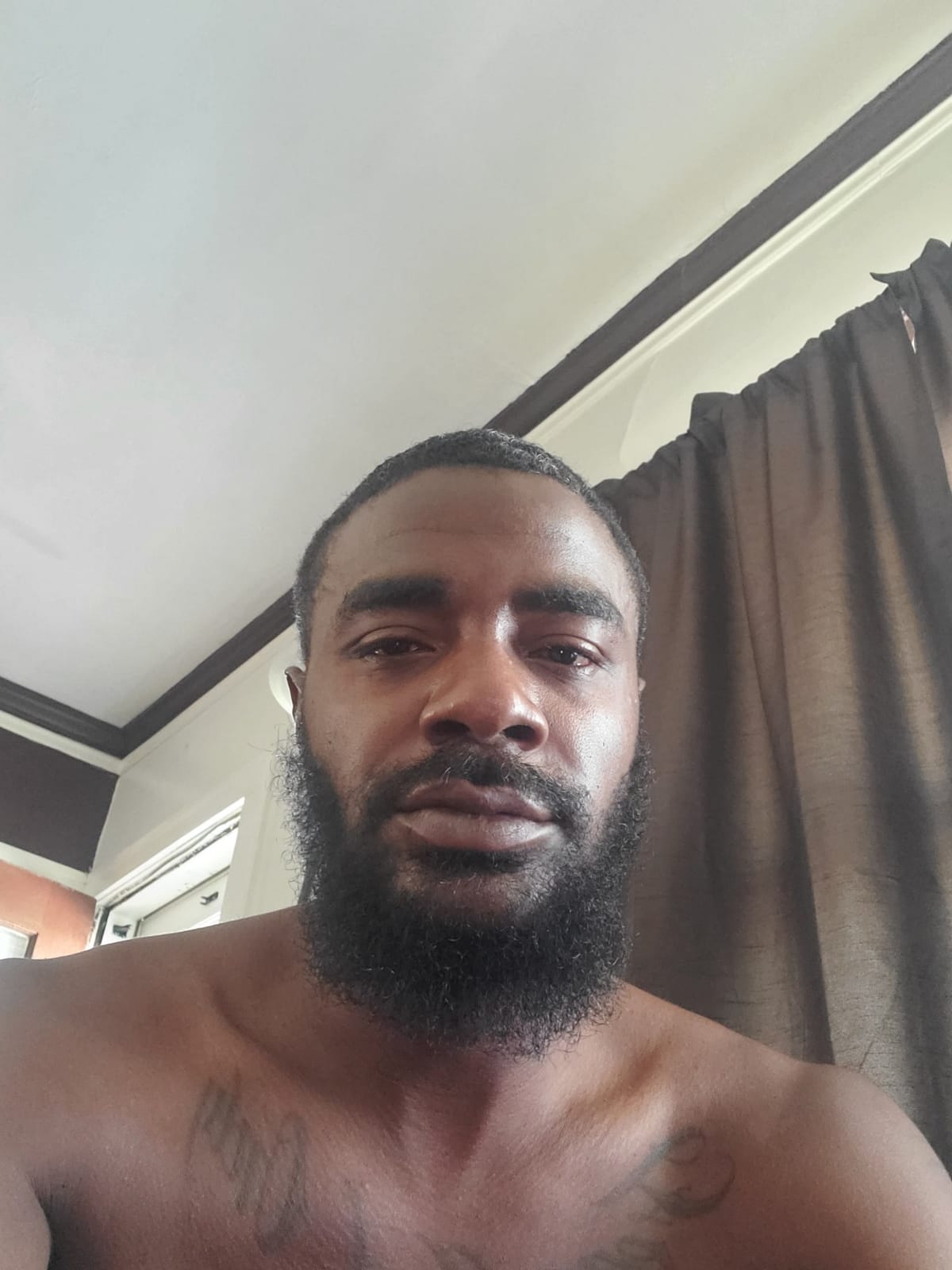 King C. Gillette Beard Oil for Men - Argan, Jojoba, Avocado, Macadamia Seed and Almond Oils - Moisturize and Soften Beard customer photo 2