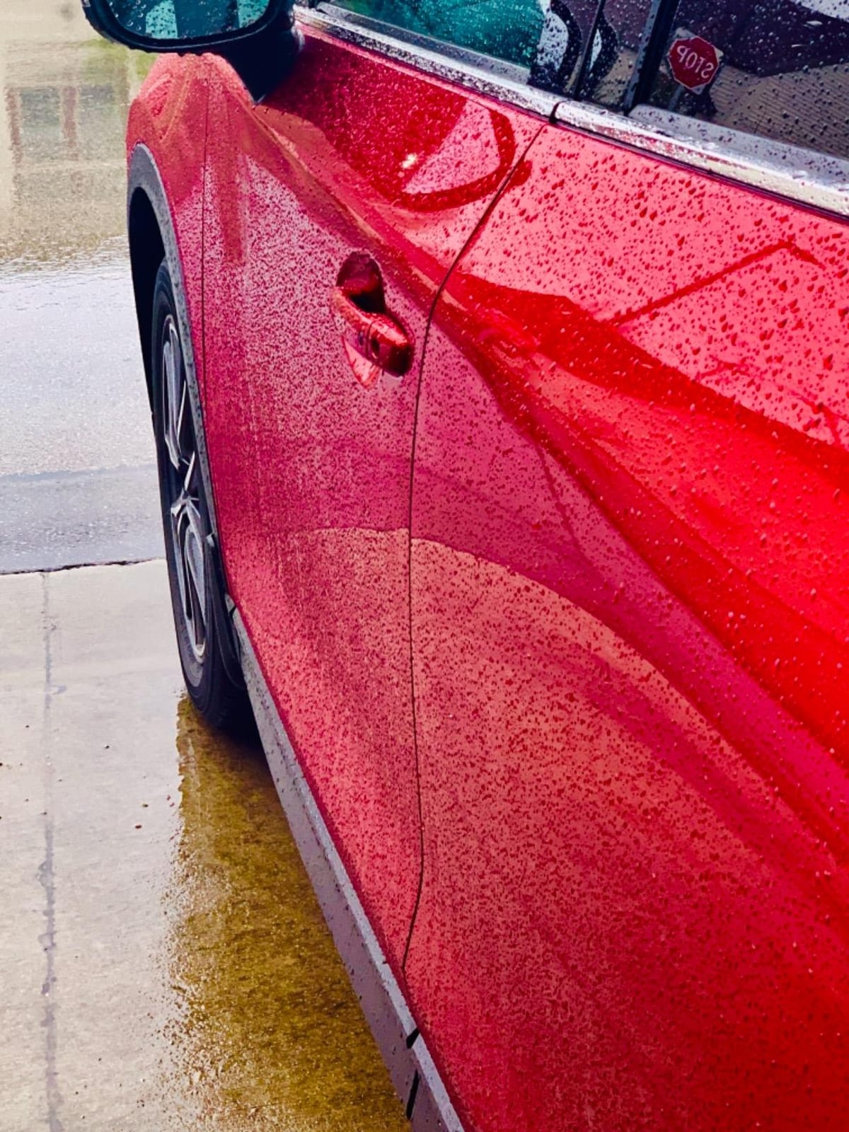 Graphene Ceramic Coating for Cars | Next Gen Car Wax Spray | Protect Paint Work with Highly Concentrated Hydrophobic Ceramic Detail Top Coat for Motorbikes, Trucks and Boats customer photo 2