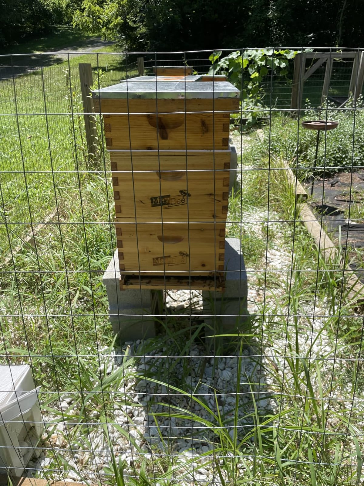 10-Frame Langstroth Beehive Dipped in Beeswax, Complete Bee Hives and Supplies Starter Kit Includes 2 Deep Hive Bee Boxes and 1 Bee Hive Super with Beehive Frames and Foundations customer photo 2