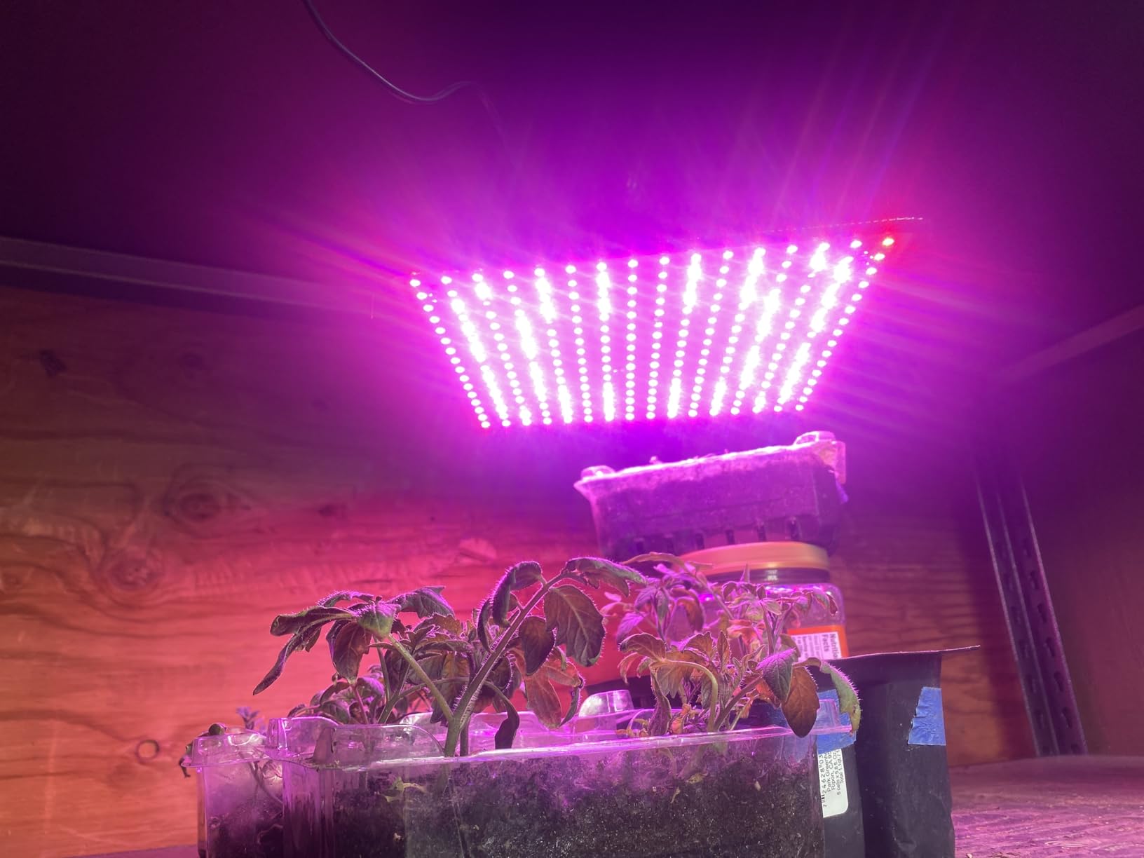 2 Pack LED Grow Light Panel 200W Lamp for Indoor Plants, Sun Like with White Blue Red UV IR LEDs for 4x4ft Coverage Grow Tent Greenhouse Veg and Bloom Seedlings Hydroponics customer photo 2