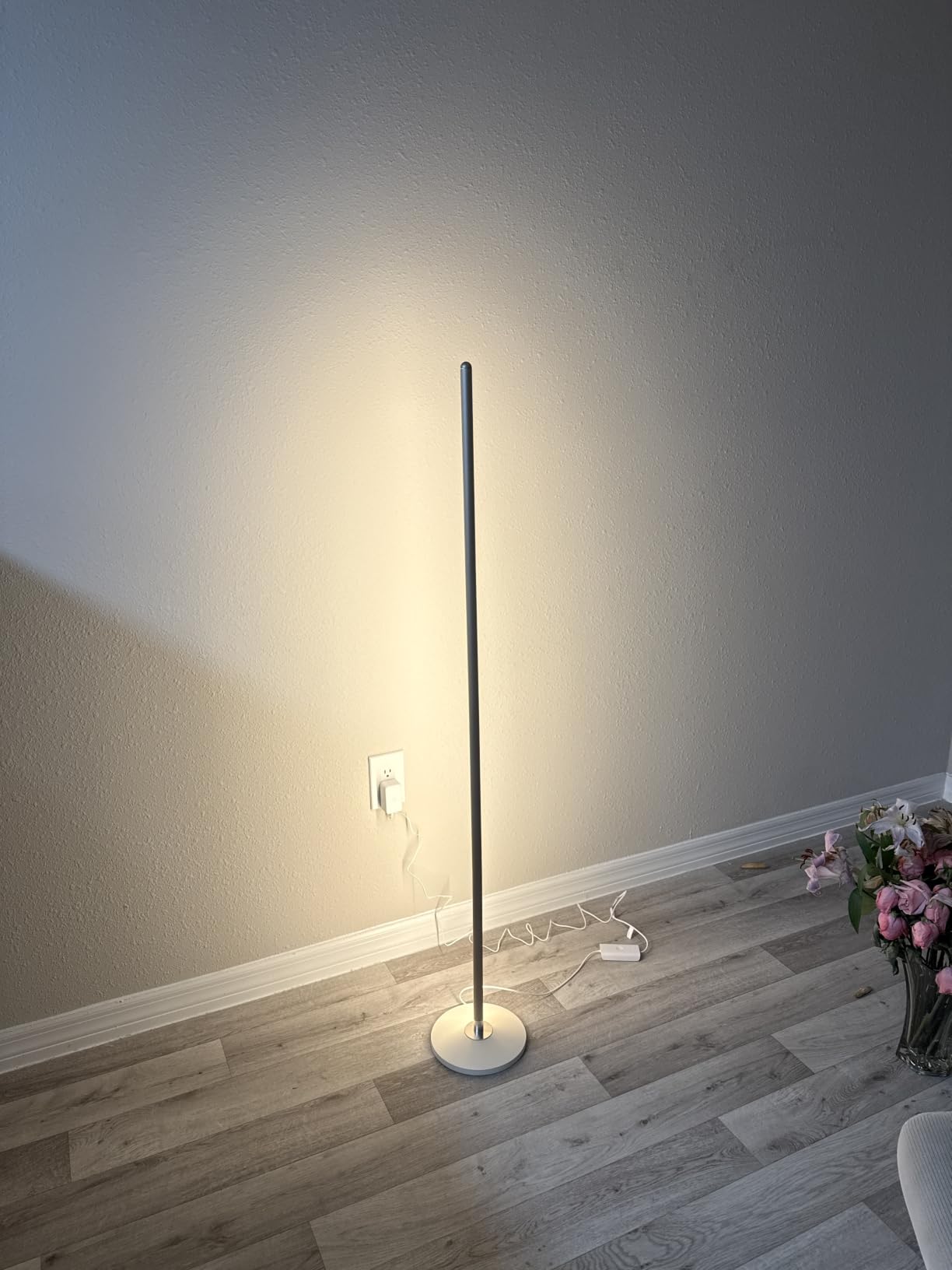 Govee RGBIC Floor Lamp Basic, 1000lm LED Corner Lamp, Black customer photo 1