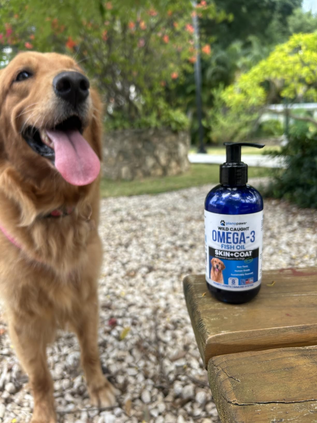 Omega 3 Fish Oil for Dogs - Supports Shedding and Itching, Skin and Coat customer photo 2