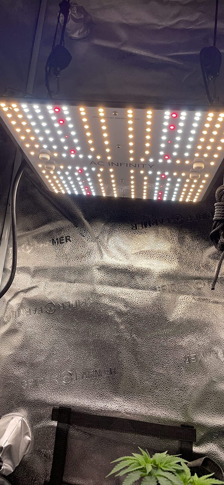 AC Infinity IONBOARD S44, LED Grow Light Board 4x4 with Dimming Control customer photo 1
