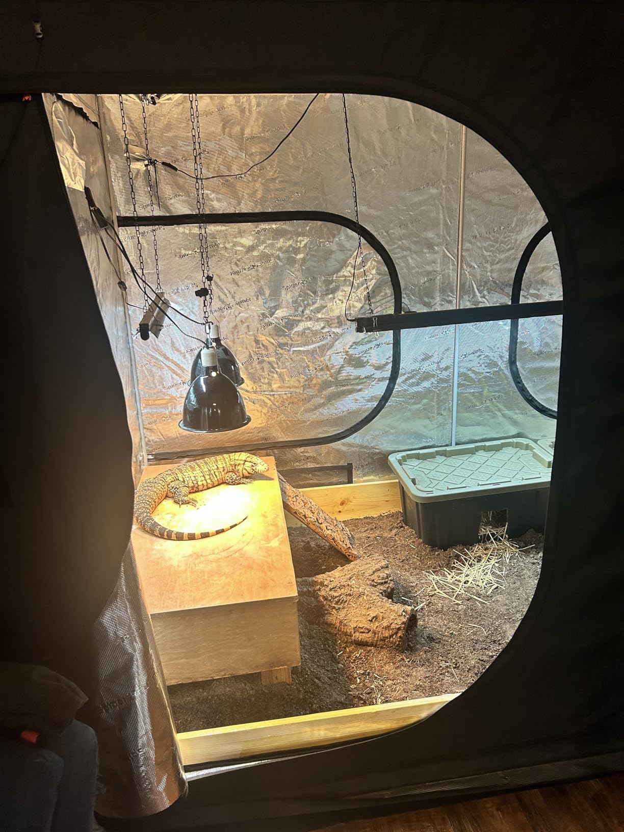Spider Farmer 4x2 Grow Tent 48