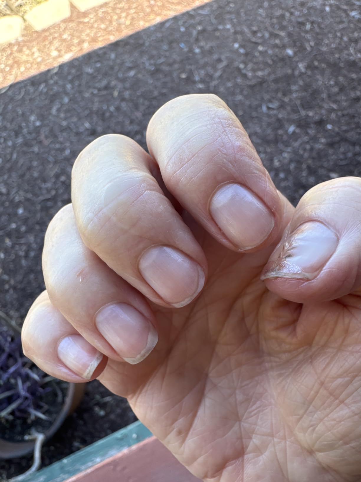 Organic Nail and Cuticle Oil - USA Made Nail Oil for Growth & Strength customer photo 2
