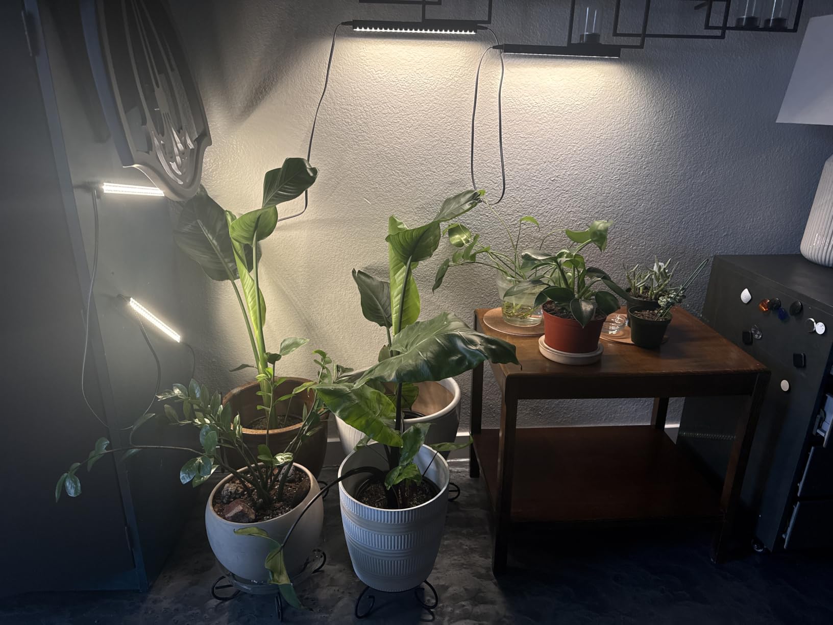 Barrina T5 Grow Lights for Indoor Plants, 5000K Full Spectrum, 1FT, 4 Packs customer photo 2