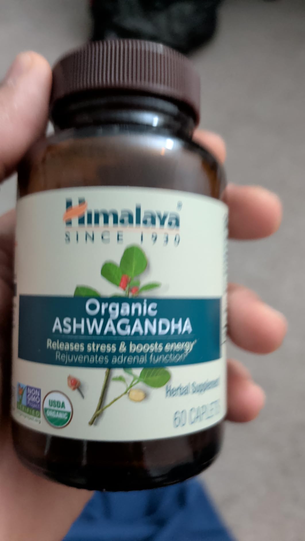 Himalaya KSM-66 Organic Ashwagandha Gummies, BlackBerry Flavor, 60 Gummies customer photo 1