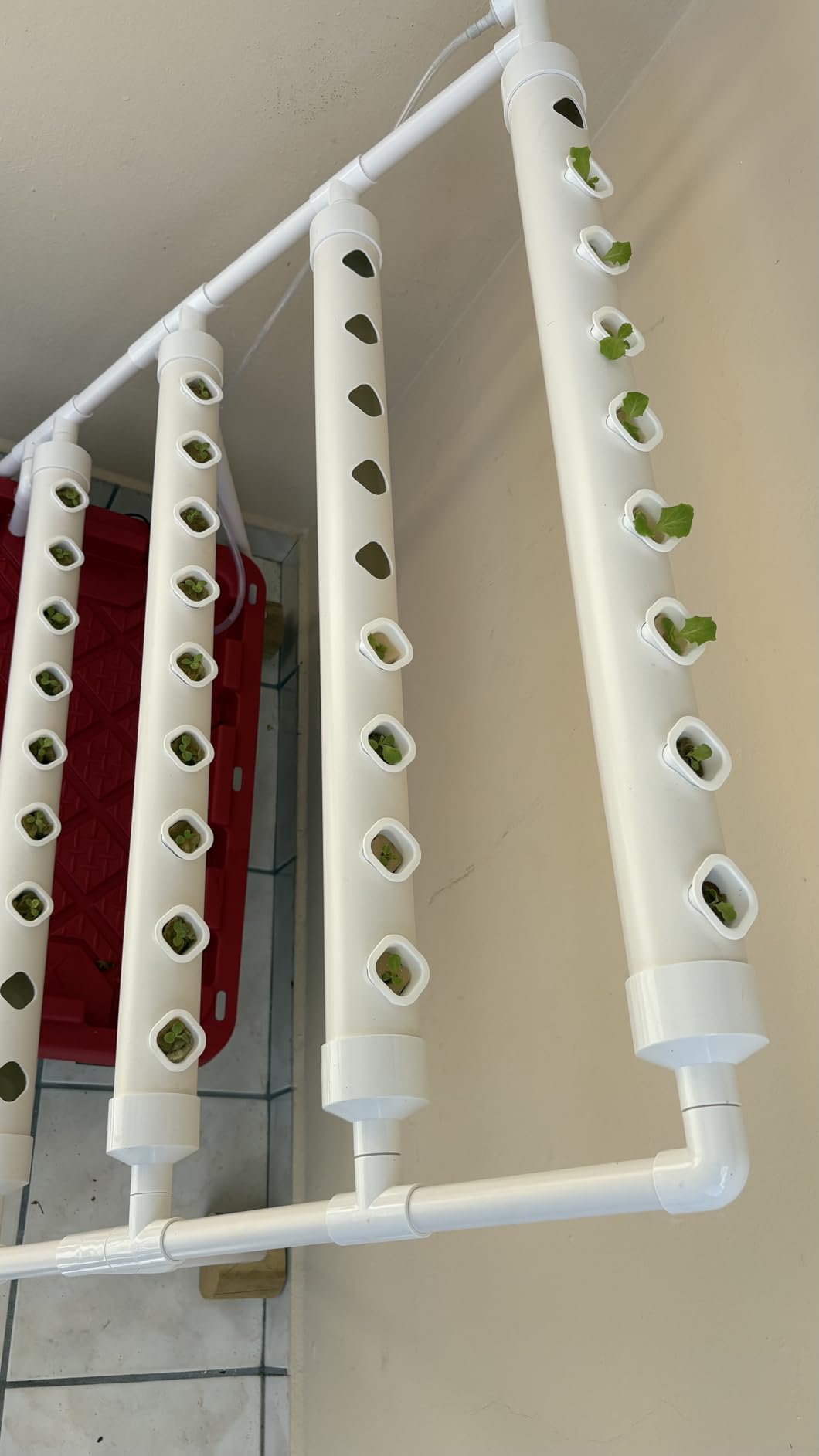 3-Tier 108 Plant Sites Hydroponics Growing System Kit customer photo 1