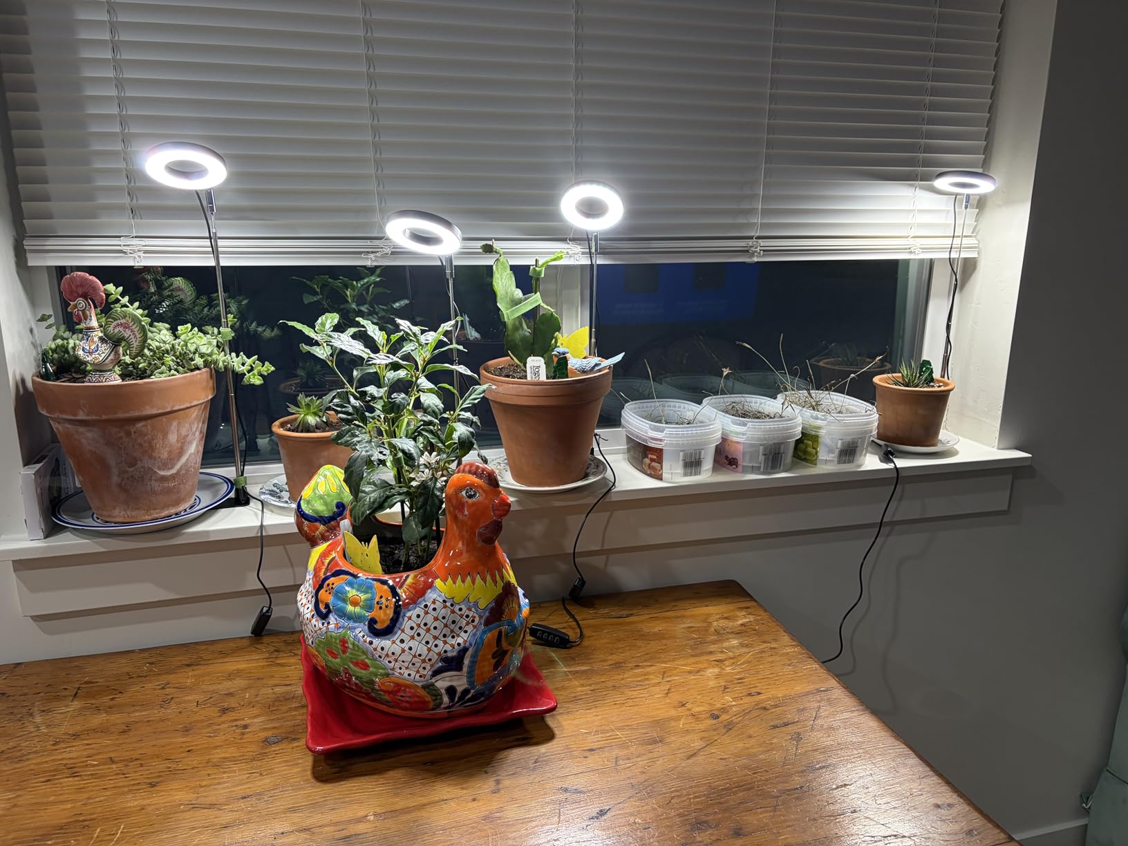 Aokrean Grow Lights for Indoor Plants, Full Spectrum Plant Light with Base customer photo 2