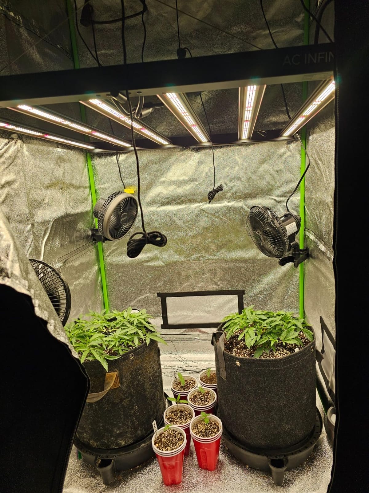 AC Infinity IONFRAME EVO6, 500W Samsung EVO Bar LED Grow Light 4x4 customer photo 2