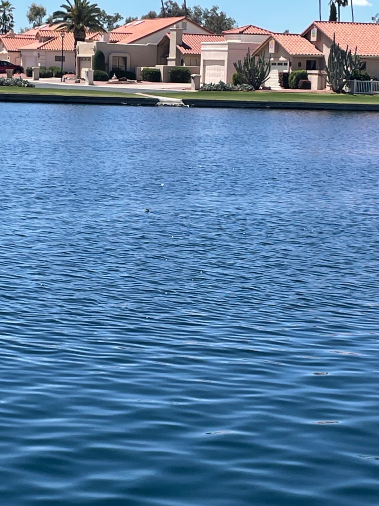 volantexrc RC Boat, High Speed Remote Control Boat for Beginners customer photo 2
