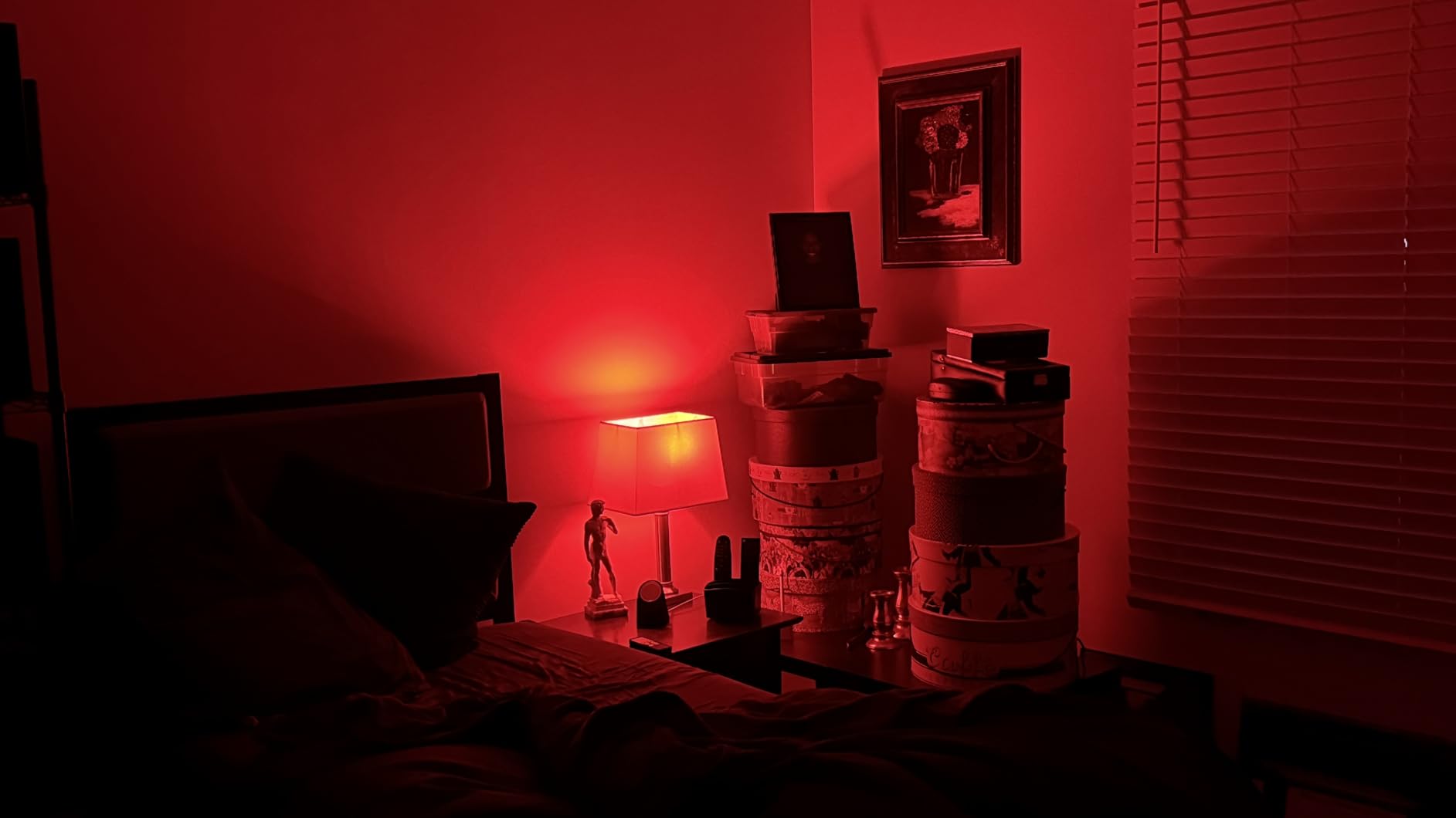 Tapo Multicolor Dimmable Smart Light Bulbs, L535E(2-Pack), A19 E26, 1100LM customer photo 2