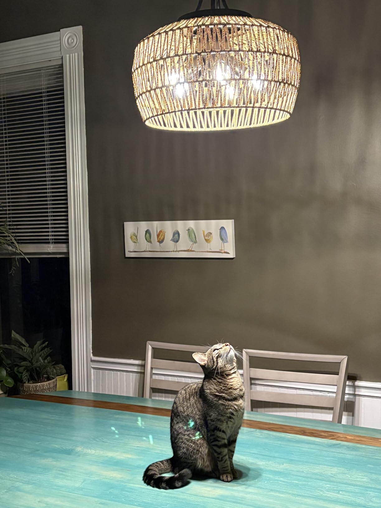 HMVPL Farmhouse Chandelier for Dining Room, 3-Light Boho Rattan Chandelier Light Fixture Ceiling Hanging with Woven Lampshade, Small Wicker Coastal Pendant Light for Kitchen Bedroom Island Hallway customer photo 1
