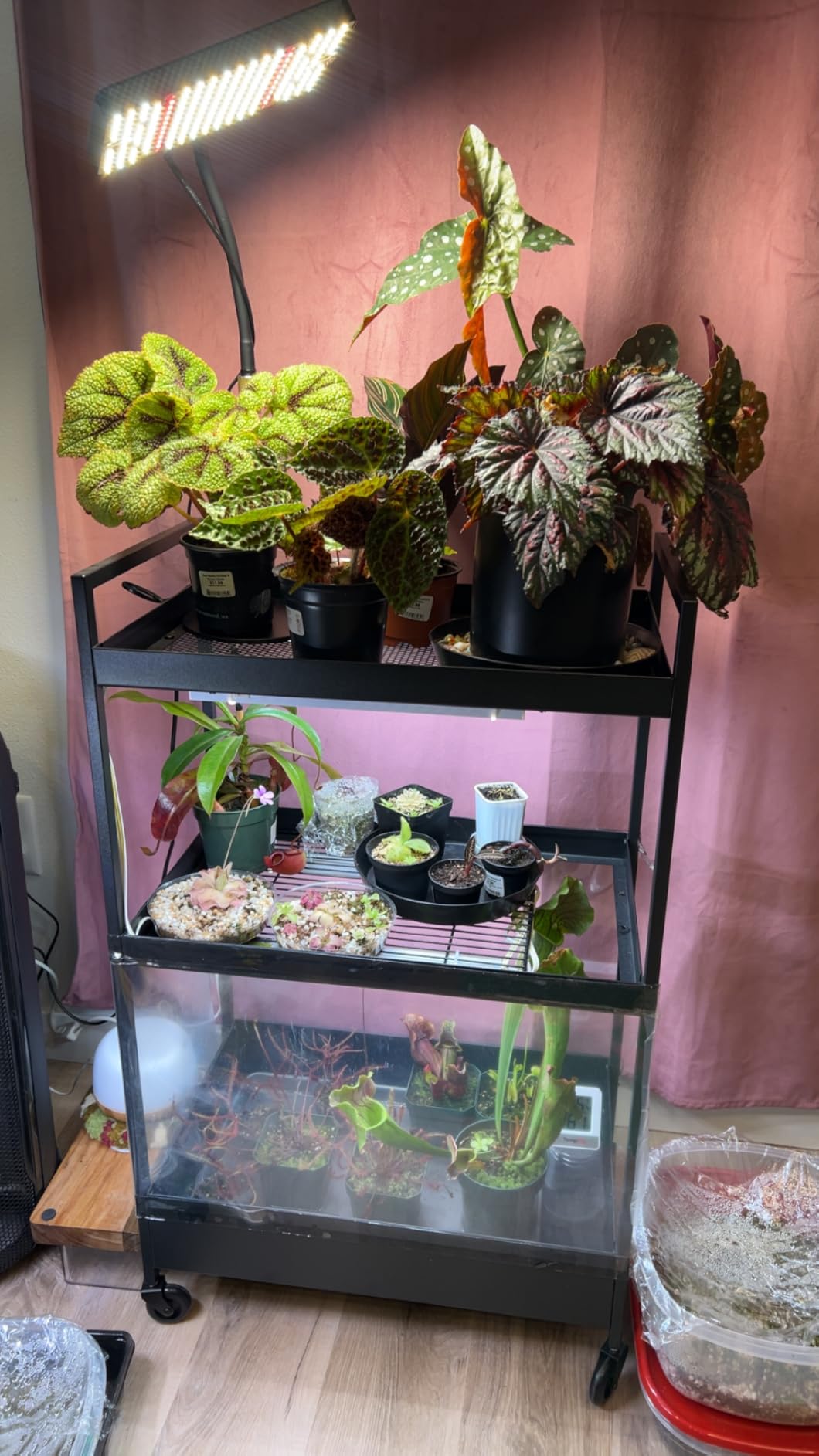 Barrina T5 Grow Lights for Indoor Plants, Full Spectrum, 1ft 5000K, 4 Packs customer photo 2