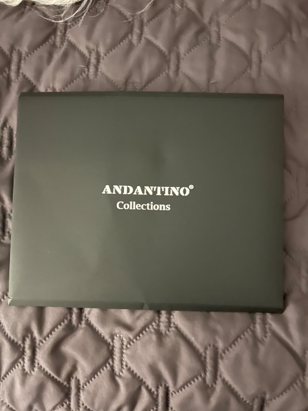 ANDANTINO 100% Silk Long Scarf-Women Large Oblong Shawls with Gift Packed customer photo 1