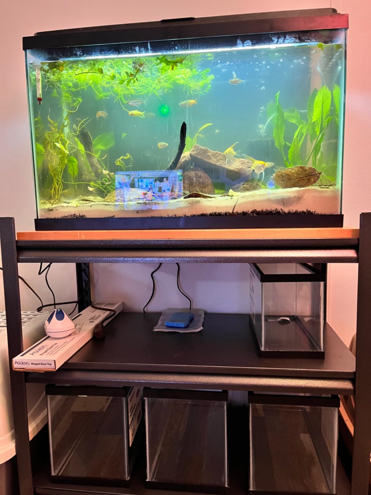 3-tier Metal Fish Tank Stand for 30 Gallon Long Aquarium,31.5