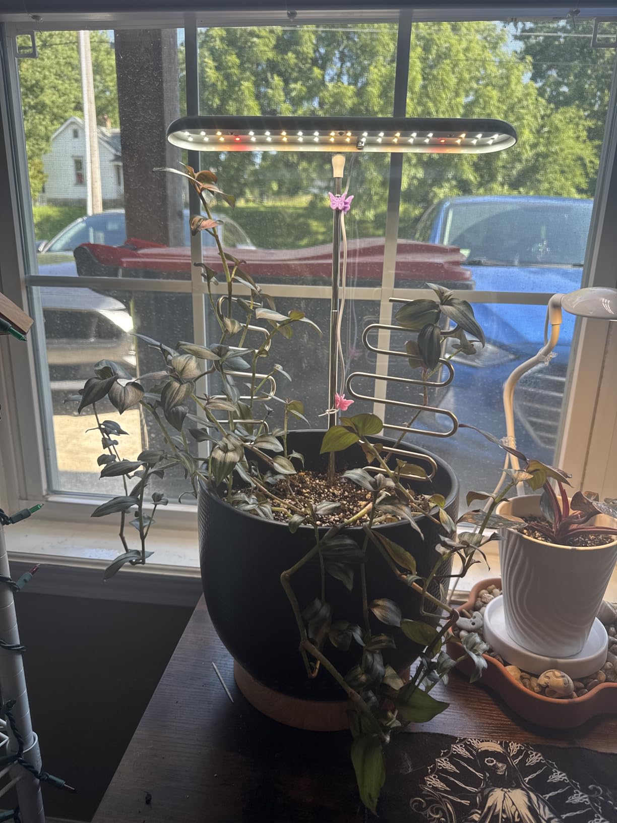 FOXGARDEN Grow Light Stand, Advanced LED Plant Growth Lighting with 4/8/12H Timer, 6 Dimming Options, and Adjustable Height - Optimal for Indoor Plants in Seedlings, Vegetative, and Flowering Phases customer photo 2