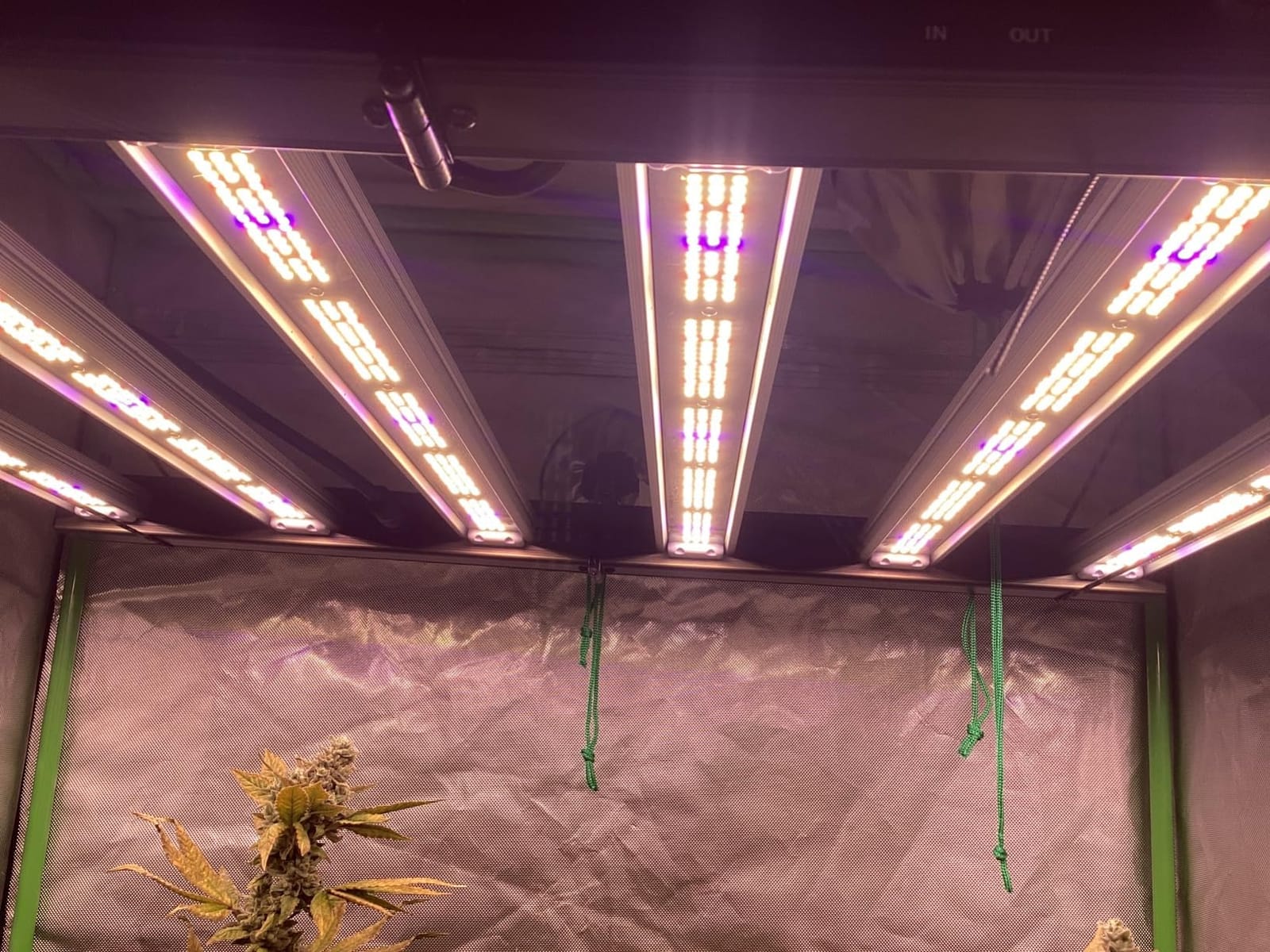 FARMLITE 360W LED Grow Lights for Indoor Plants Full Spectrum Growing Bar customer photo 2