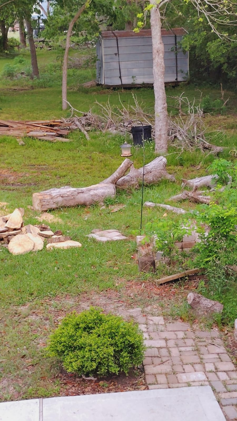 PRORUN 55.5cc 20-in. Gas-Powered 2-Cycle Commercial Chainsaw (PCS560C) customer photo 2