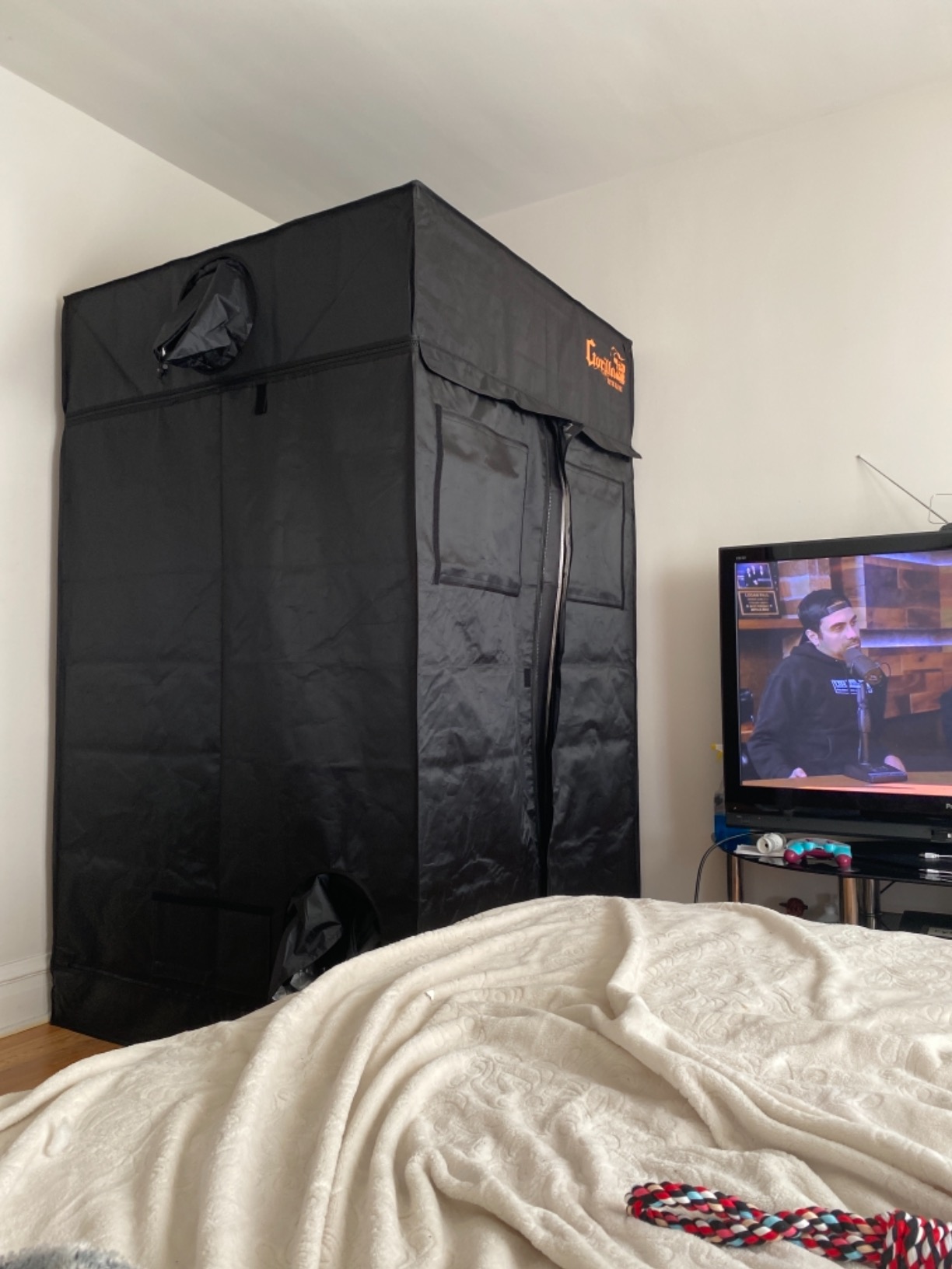2x2.5 Fixed Height Indoor Grow Tent, 6'6