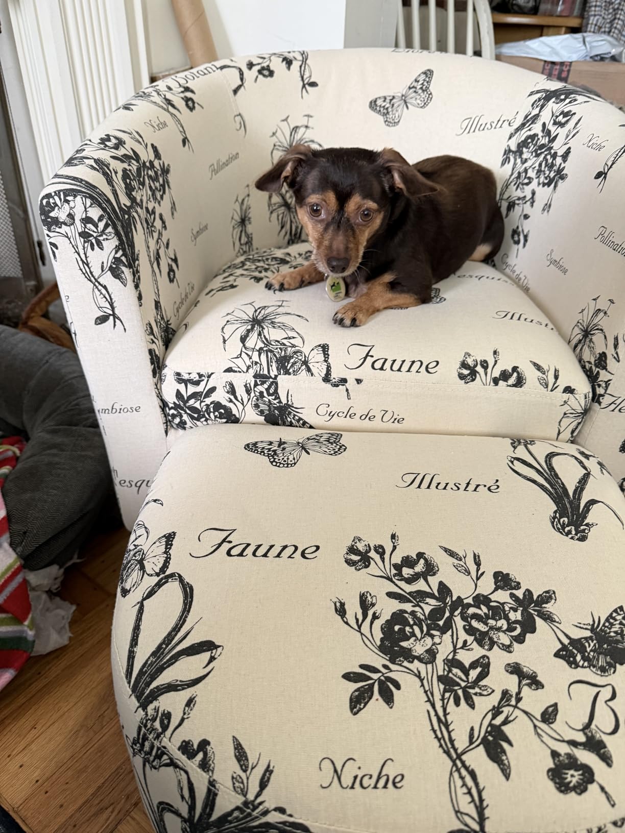 INZOY Modern Accent Chair with Ottoman for Small Space, Club Chair with Ottoman Set, Comfy Fabric Barrel Reading Chairs for Living Room Bedroom, Round Reading Chair with Foot Rest, Flower Pattern customer photo 1