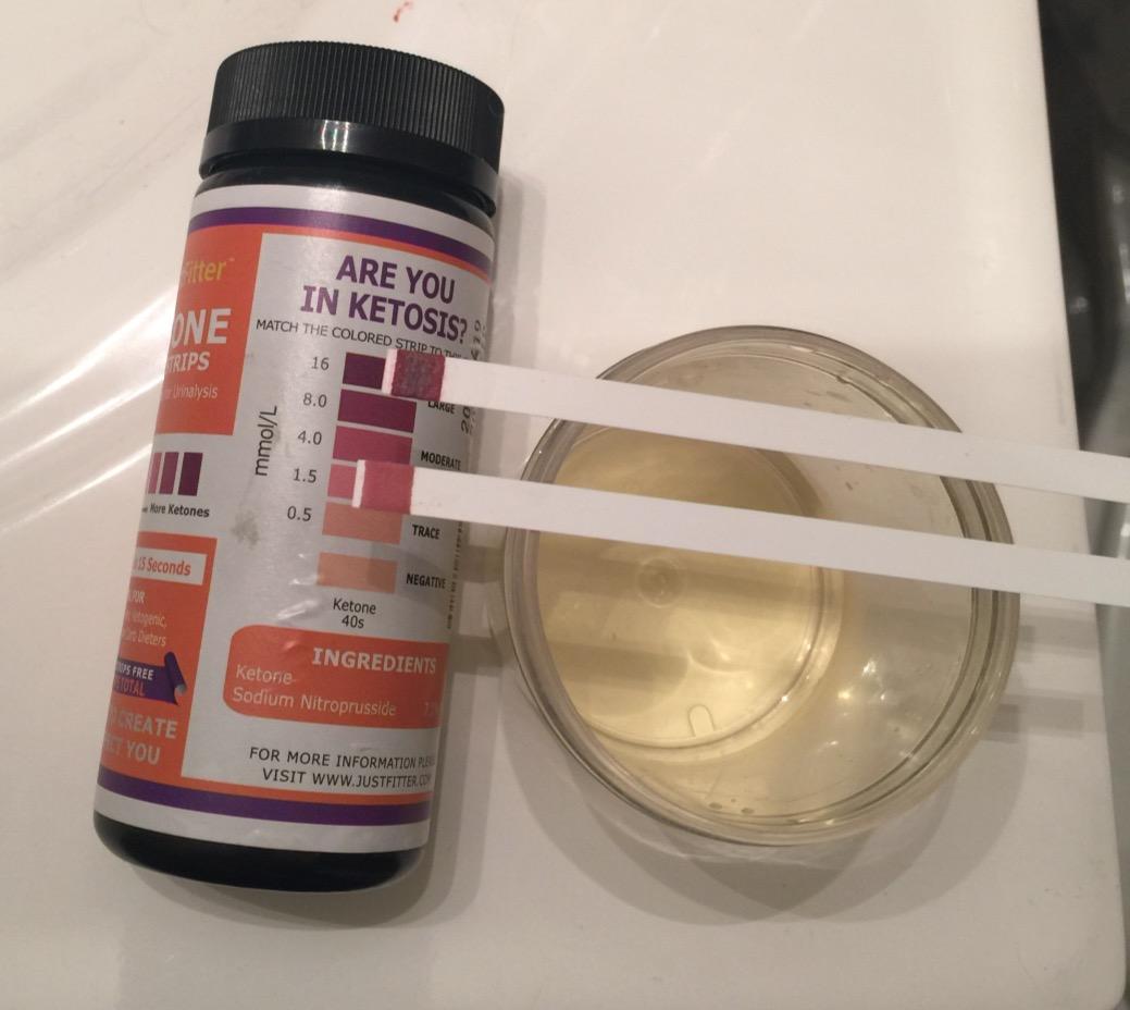 Just Fitter Alkaline Water pH Test Strips. Testing Kit for Home Drinking Water and Liquids. Universal Tester for Aquarium, Fish Tank, Pool, Hot Tub, Spa, Kombucha, Fermentation and Brewing Process. customer photo 2