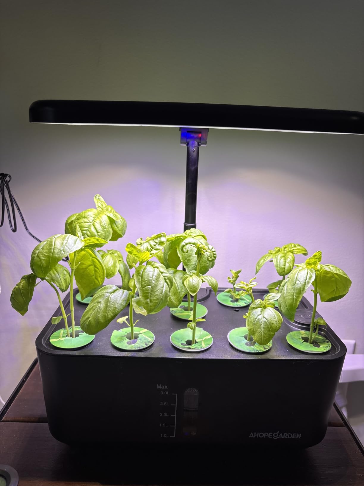 Ahopegarden Hydroponics Growing System Kit: 12 Pods Temp & Humidity Monitor customer photo 1