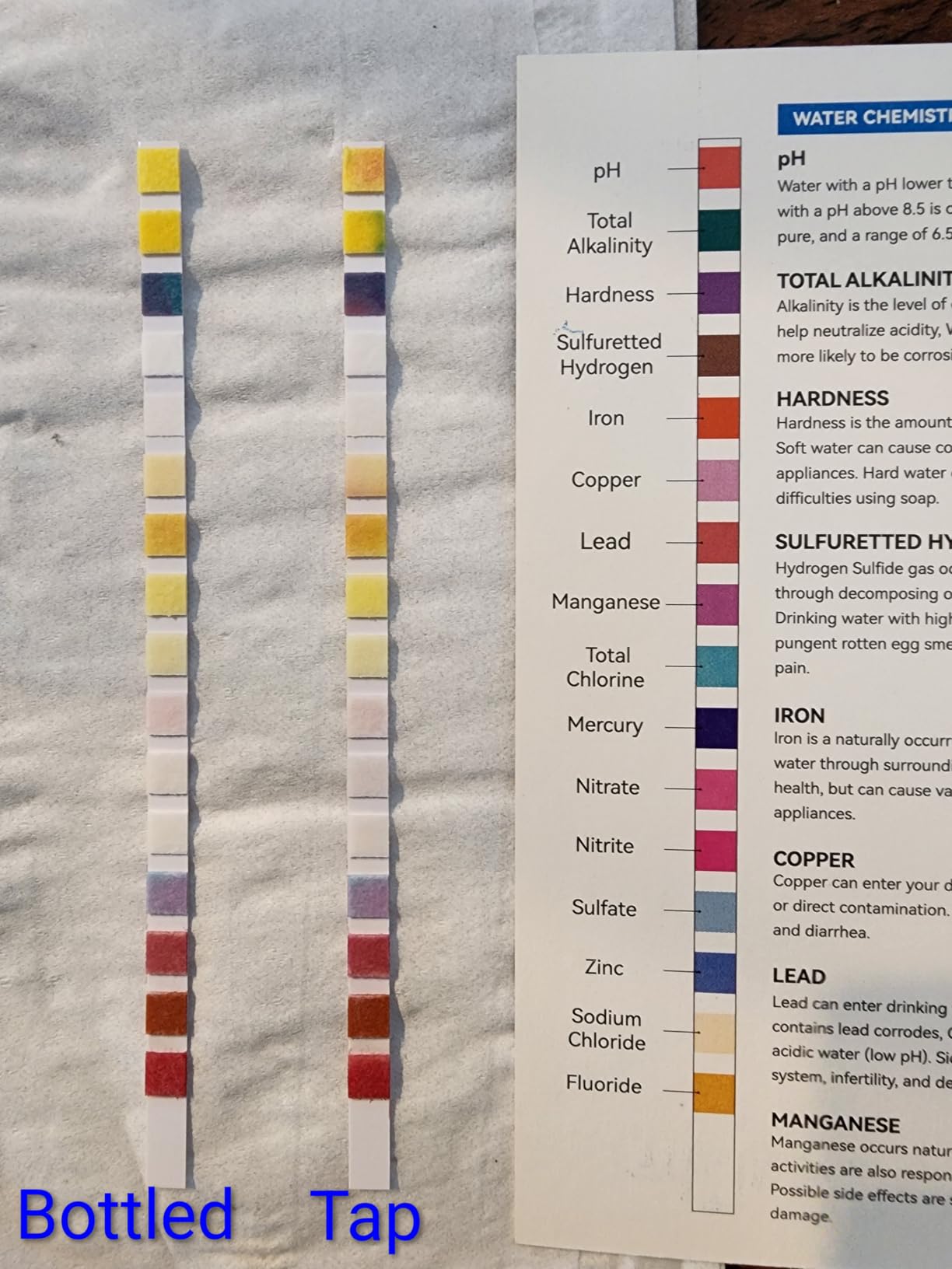 AAwipes Drinking Water Test Strips 17-in-1 100 Strips + 2 Bacteria Tester Kits, Lab-Validated Complete Water Testing for Home, Well, Tap Water, City Water, Flood Water Testing Strips (K03-100) customer photo 1