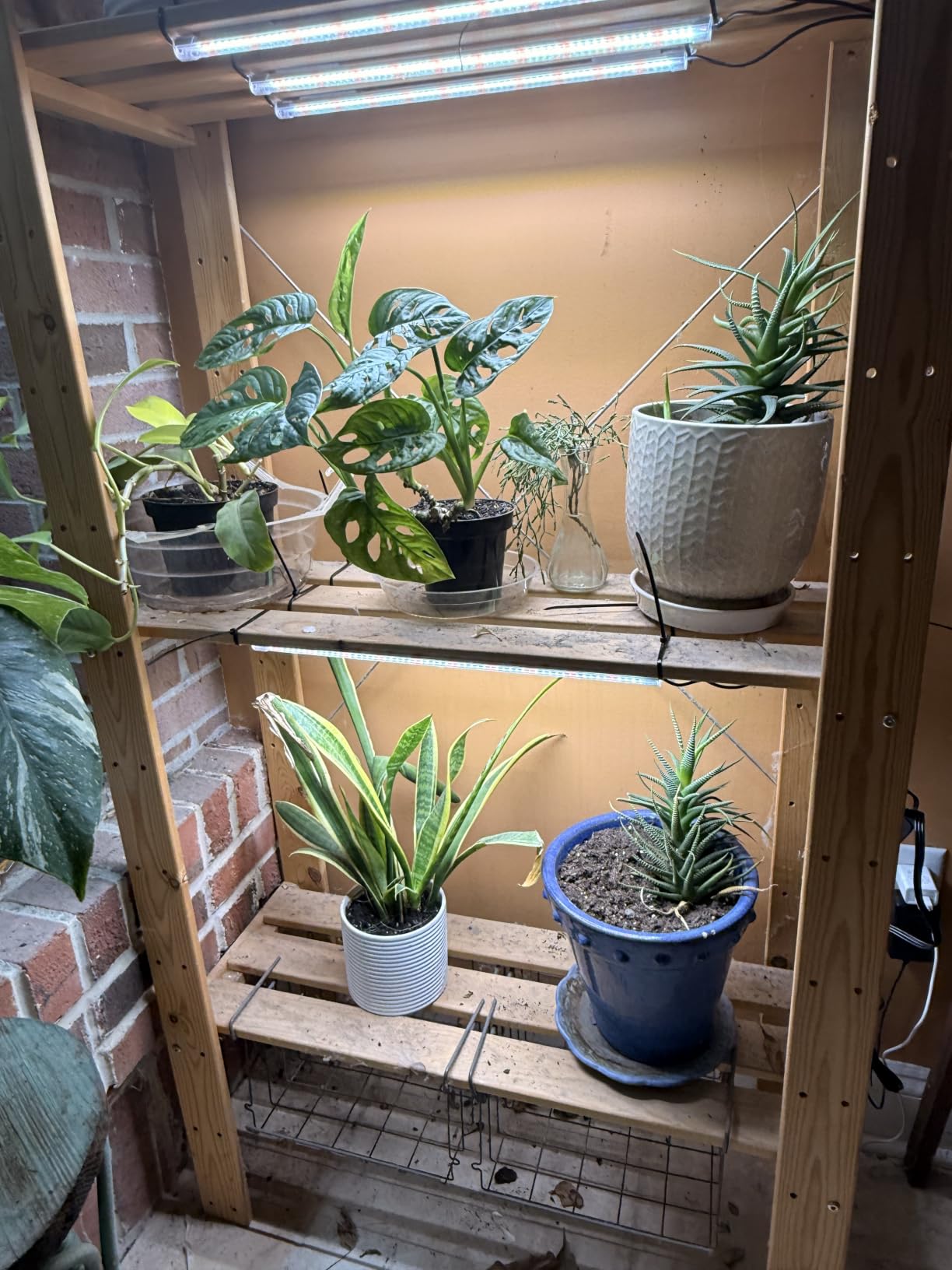 SDOVUERC 16'' 6 Bars Grow Light Strips for Indoor Shelves Plants Growing. customer photo 2