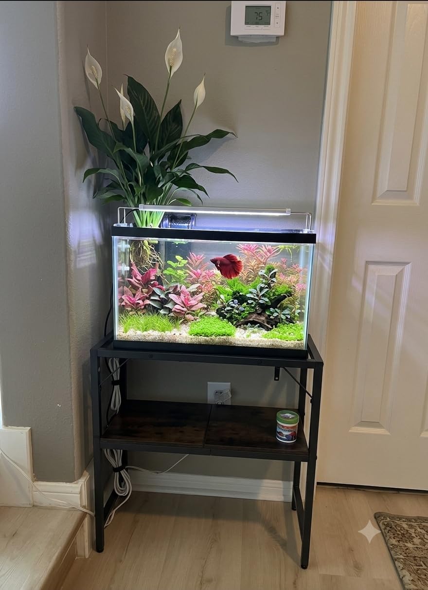 MAHANCRIS 30 Gallon Fish Tank Stand, Aquarium Stand with 2-Tier Storage Shelves, Heavy Duty Breeder Turtle Terrarium Stand Rack for Home Office, 30.0