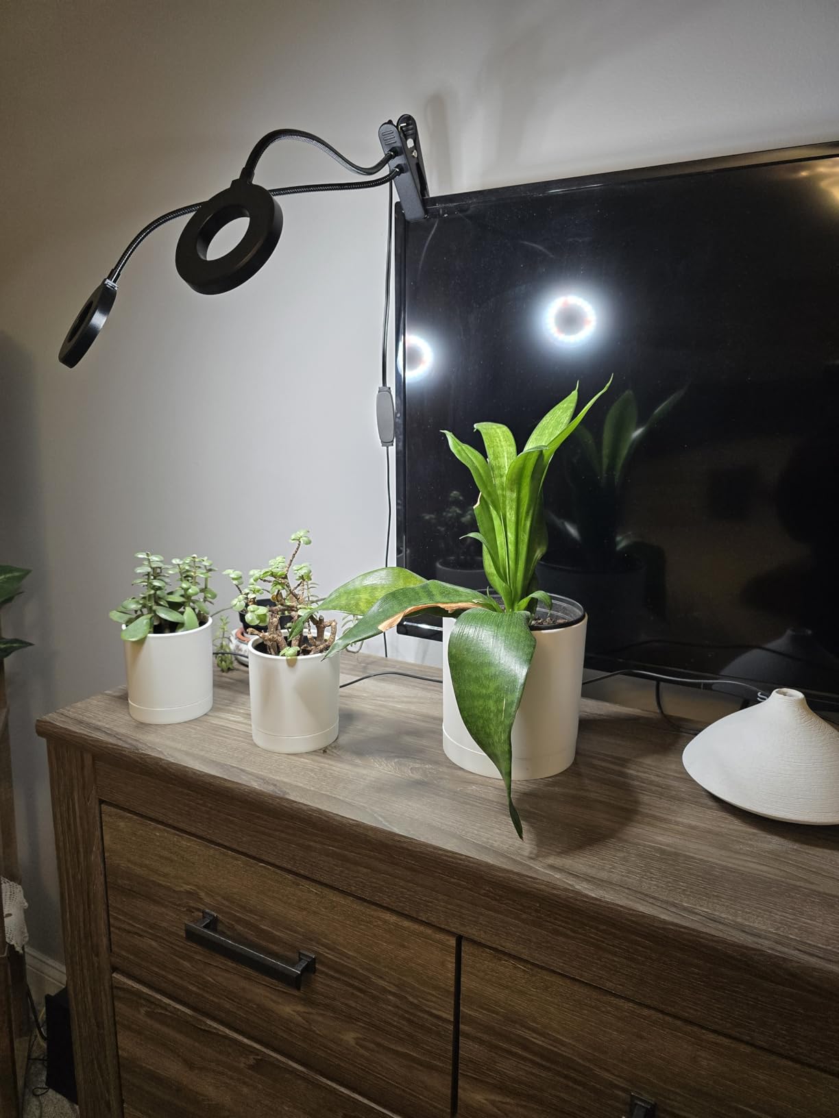 Grow Lights for Indoor Plant, Upgrade 96 LEDs Clip On Plant Lights customer photo 1