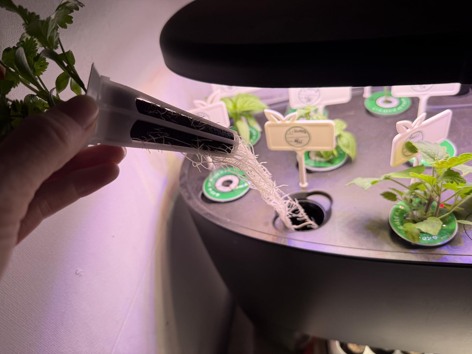 Indoor Hydroponic Growing System with 81 Pods Herbs Garden Kit with 30W Led Grow Light Large Movable 3-Layer Floor-Standing Hydroponic Gardening System for Vegetable Fruit customer photo 1